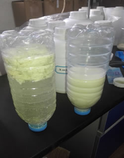 ��ζ��Ʒ����ǰ��ȶ�