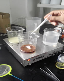 ����ֲ��Һ