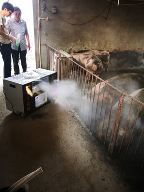 ������ֲ��Һ��������