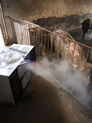 ������ֲ��Һ������������