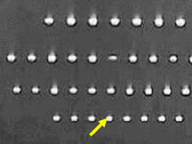 �ĽǼ�ѹ��ĥ���о�