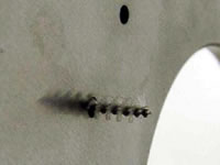 ��ëˢ�����ĥ�о��մɲ�о���