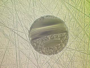 ����������ȥ��-��о����ȱ��